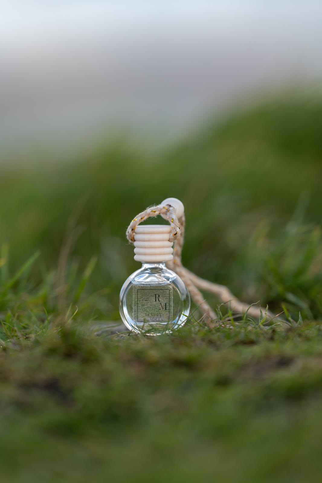 Paradise Island Car Diffuser