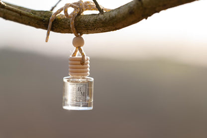 Winter Berries Car Diffuser