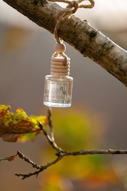 Winter Berries Car Diffuser