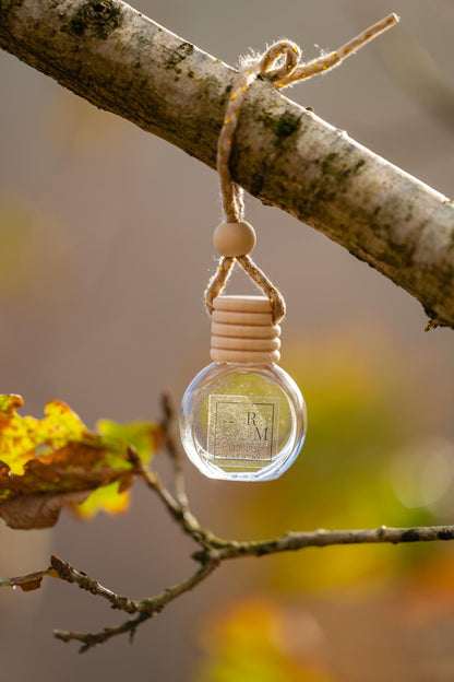 Paradise Island Car Diffuser