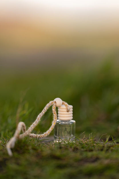 Winter Berries Car Diffuser