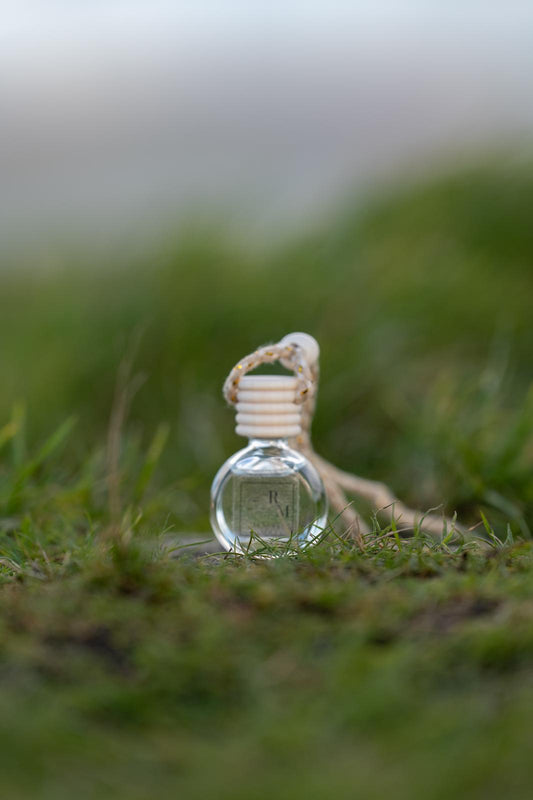 Paradise Island Car Diffuser